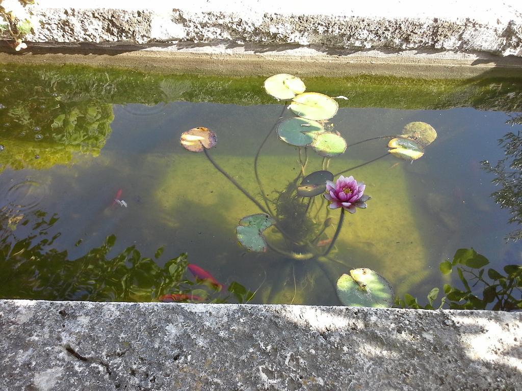 Poggio Mario Villa Saturnia Dış mekan fotoğraf